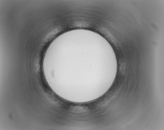 X0000115500635200911271411