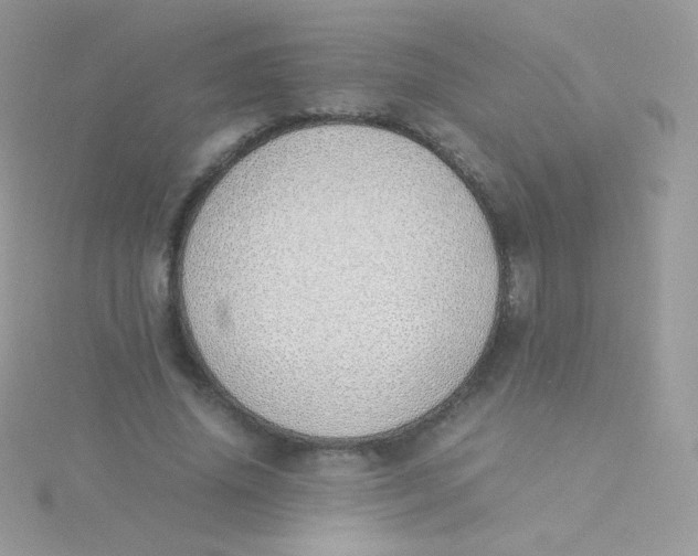 X0000115500636200911271411