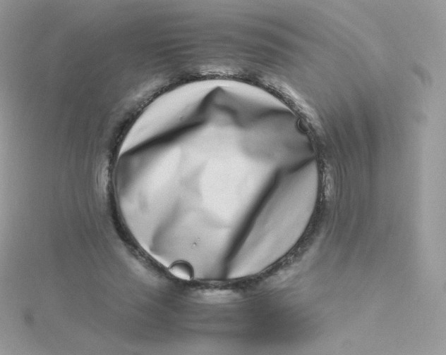 X0000115500637200911271411