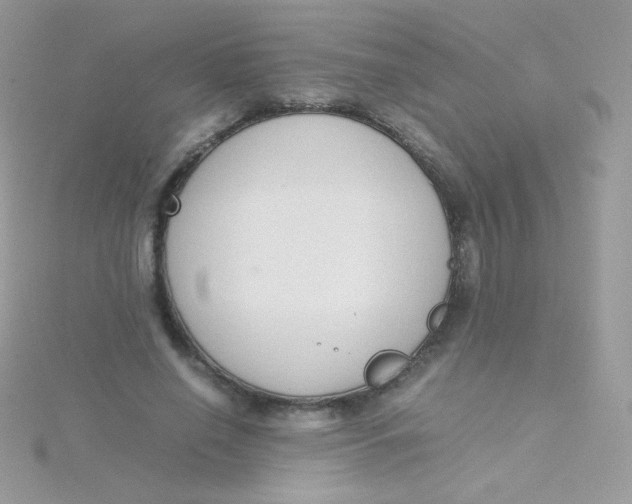 X0000115500638200911271411