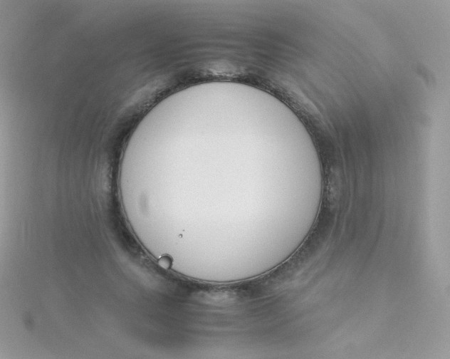 X0000115500639200911271411