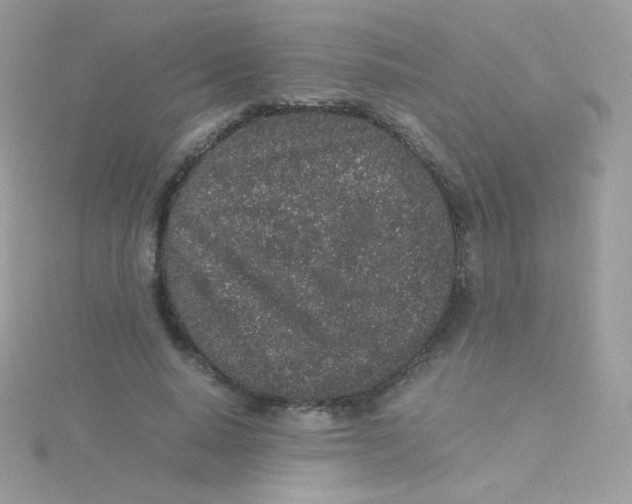 X0000115500640200911271411