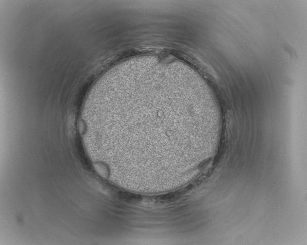 X0000115500641200911271411