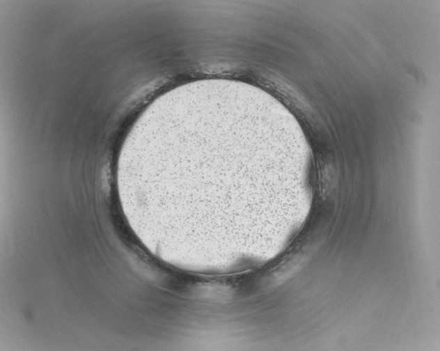 X0000115500644200911271411