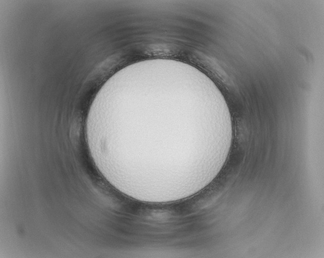 X0000115500645200911271411