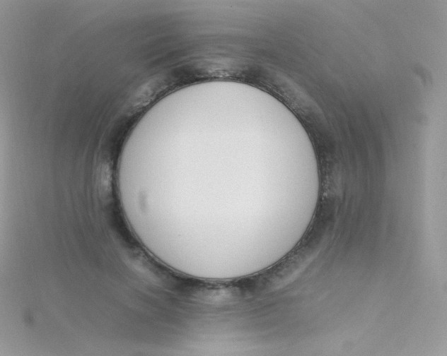 X0000115500646200911271411