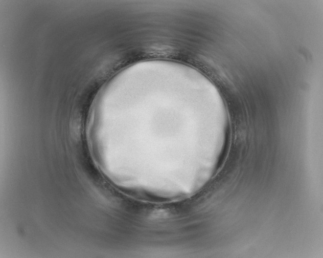 X0000115500647200911271411