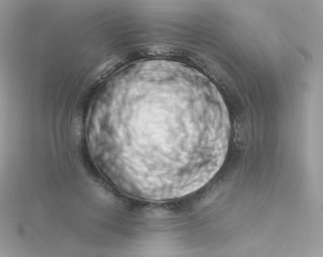 X0000115500648200911271411