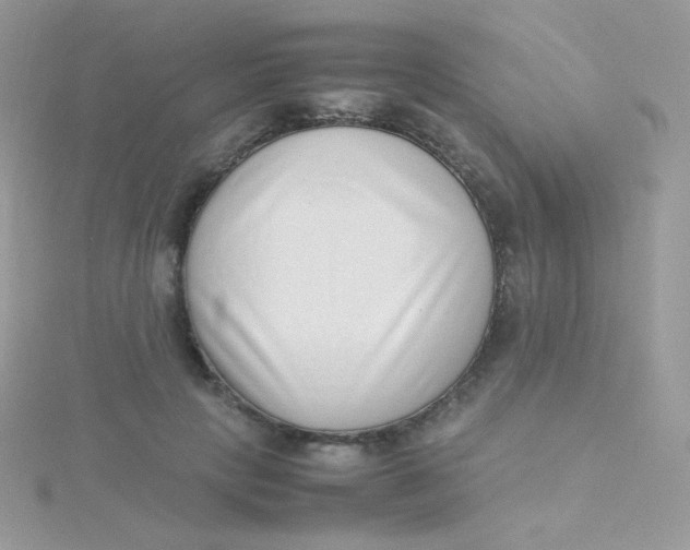 X0000115500649200911271411