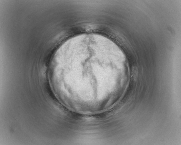 X0000115500650200911271411