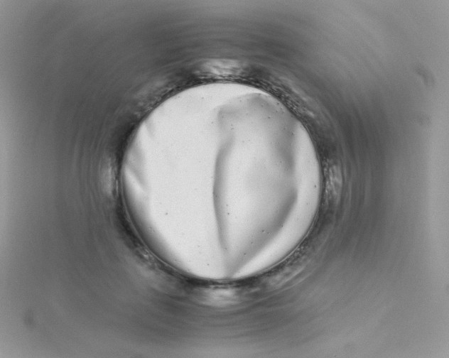 X0000115500651200911271411