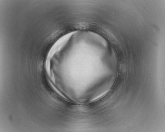 X0000115500652200911271411