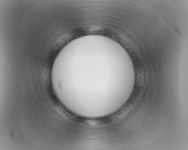 X0000115500654200911271411