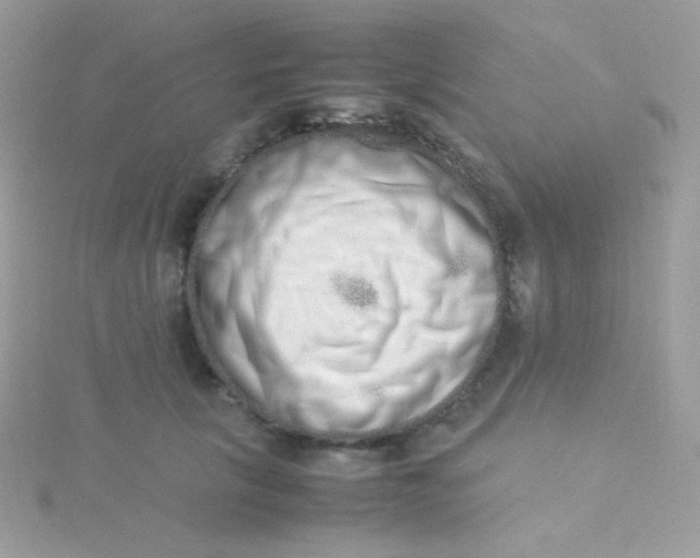 X0000115500657200911271411