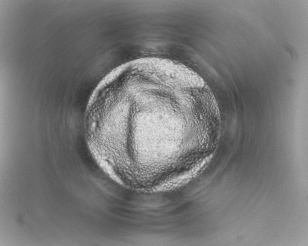 X0000115500659200911271411