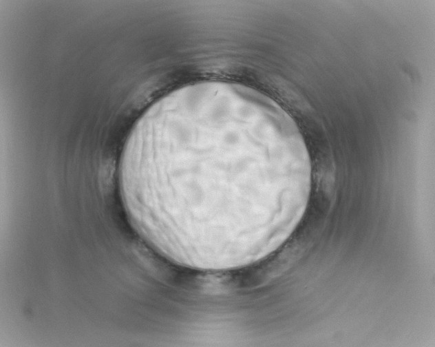 X0000115500660200911271411