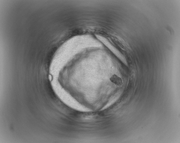 X0000115500661200911271411