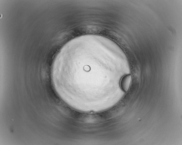 X0000115500663200911271411