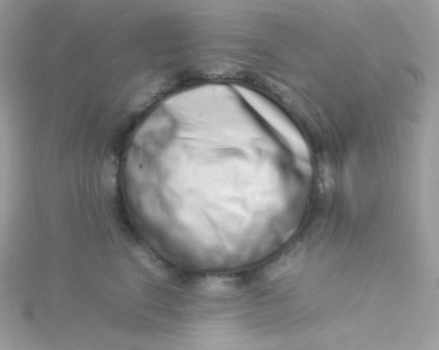 X0000115500664200911271411