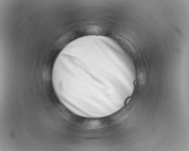 X0000115500665200911271411