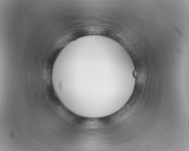 X0000115500666200911271411