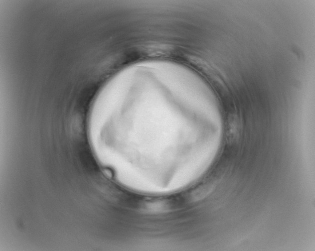 X0000115500667200911271411