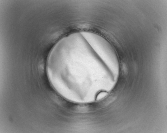 X0000115500668200911271411