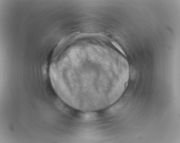 X0000115500670200911271411