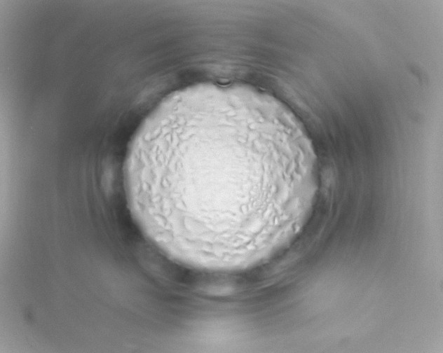 X0000115500671200911271411