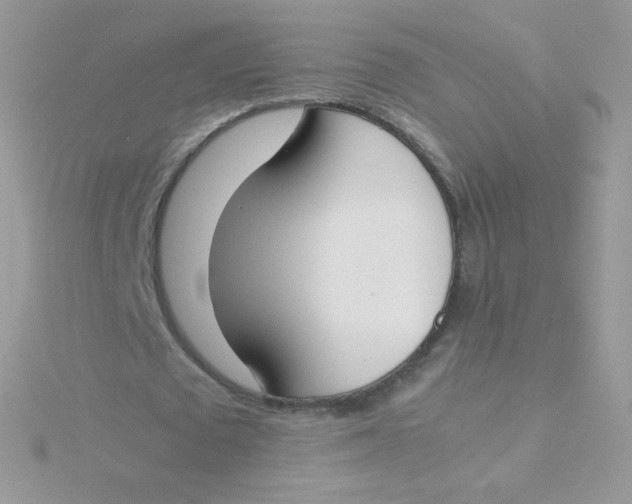 X0000115500673200911271411