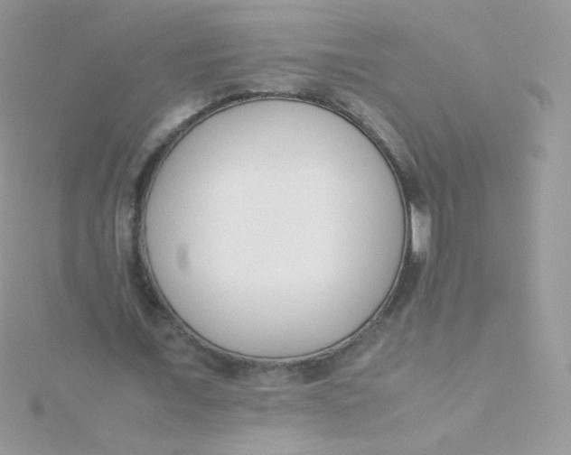 X0000115500675200911271411