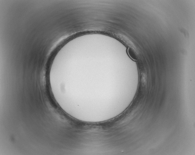 X0000115500676200911271410