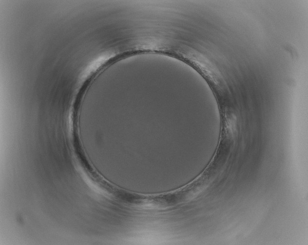 X0000115500678200911271410