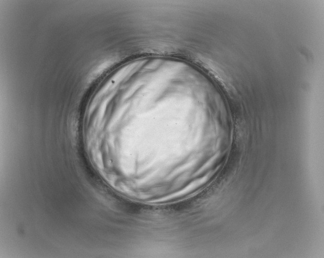 X0000115500679200911271410