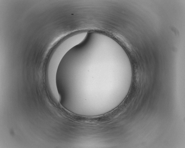 X0000115500680200911271410