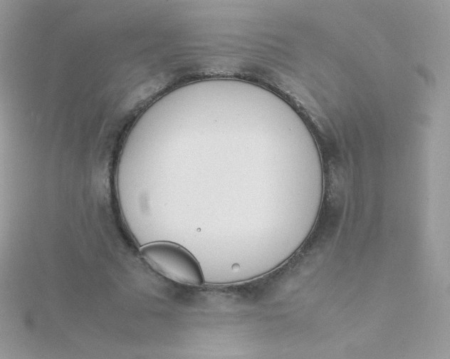 X0000115500681200911271410