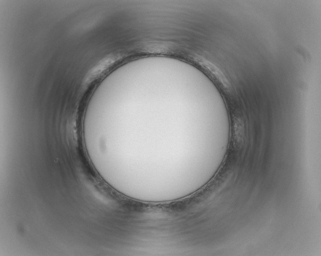 X0000115500682200911271410