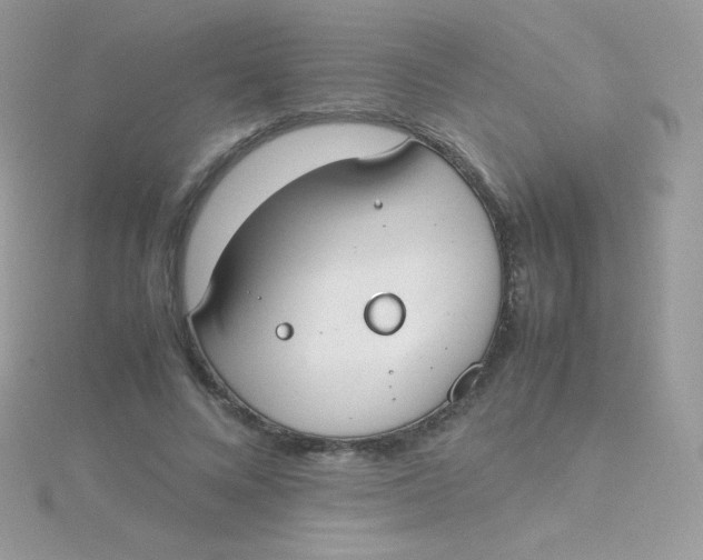 X0000115500688200911271410