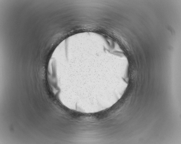 X0000115500689200911271410