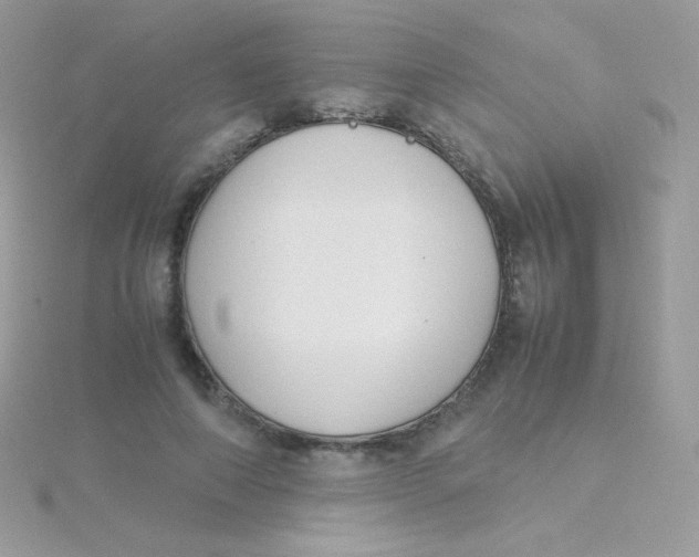 X0000115500690200911271410