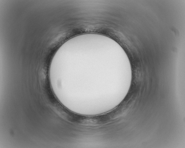 X0000115500691200911271410