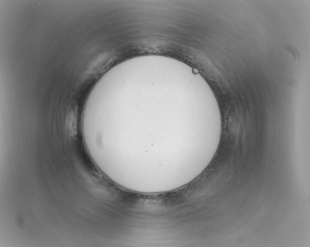 X0000115500694200911271410