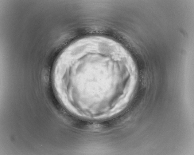 X0000115500695200911271410