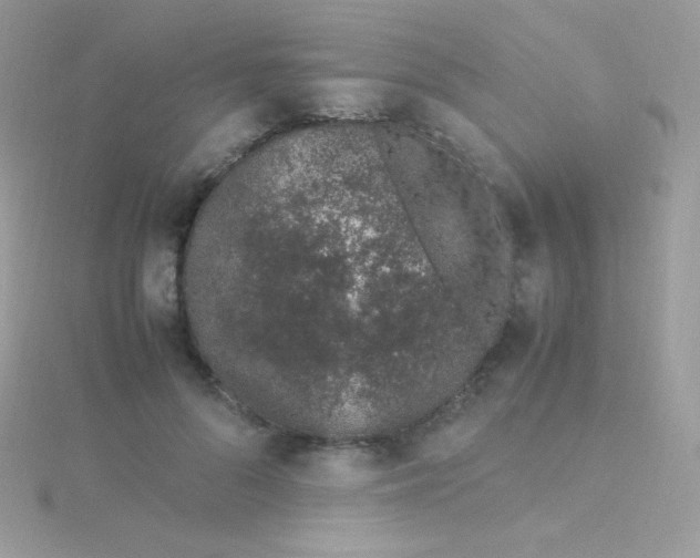 X0000115500696200911271410