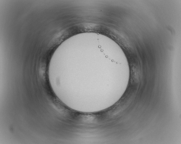 X0000115500698200911271410