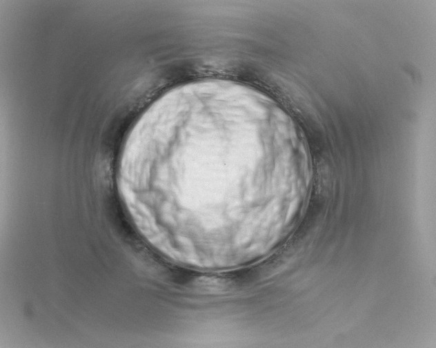 X0000115500699200911271410