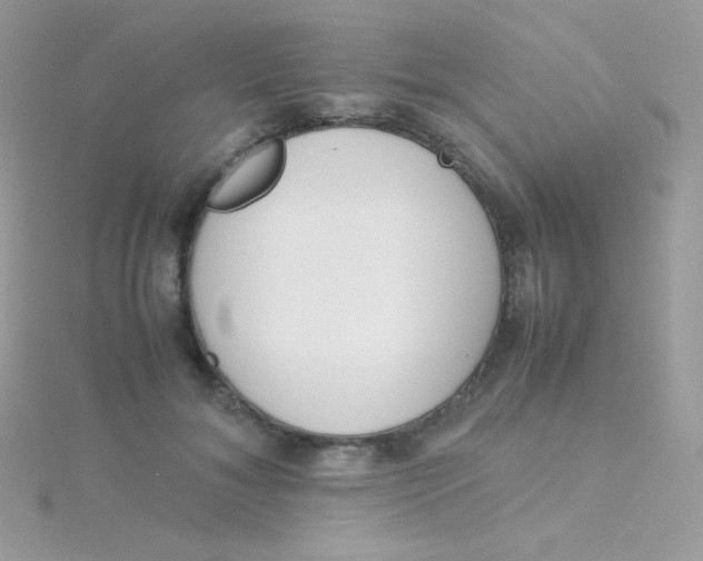 X0000115500700200911271410