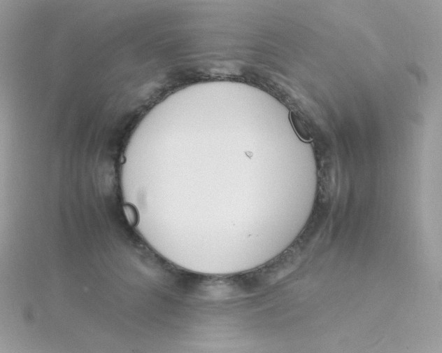 X0000115500704200911271410