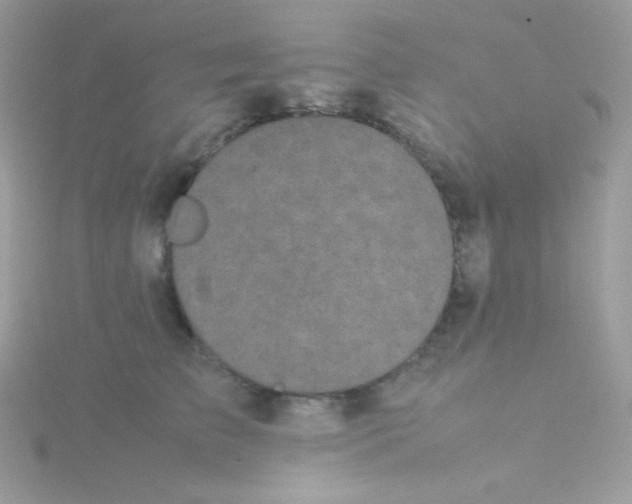 X0000115500709200911271410