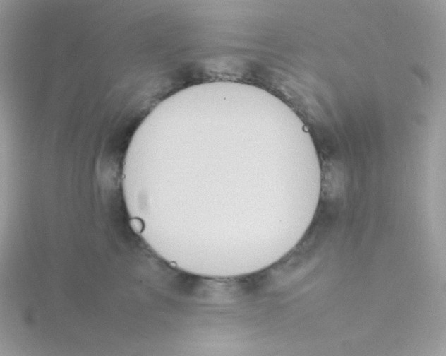 X0000115500713200911271410